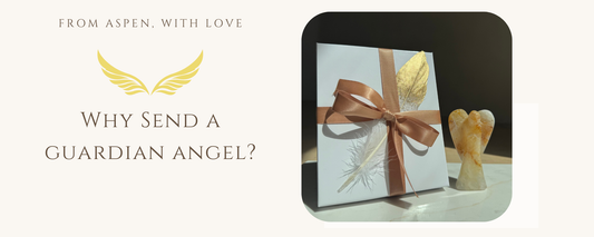 Why Send a Guardian Angel?